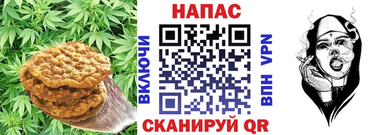 OMG   где купить наркоту  Олёкминск  Canna-Cookies конопля 