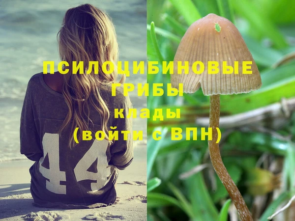 сатива Богородицк