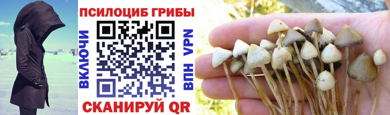 Псилоцибиновые грибы мухоморы нарко площадка Telegram Олёкминск